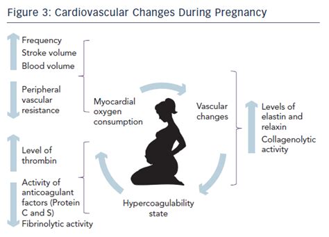 Cardiovascular changes in pregnancy