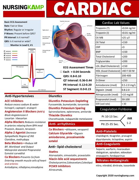 Cardiovascular diagnostic testing a nursing guide aspen series in medical. - Manual de instrucciones para talladora de engranajes.