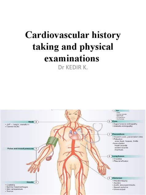 Cardiovascular history taking pdf. .  <a href=https://akfixvostok.ru/s4...