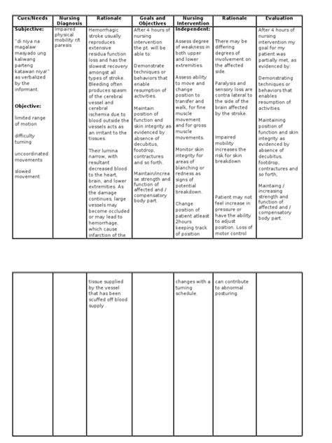 Care Plan - Hemorrhagic Stroke - Nursing Student Assistance