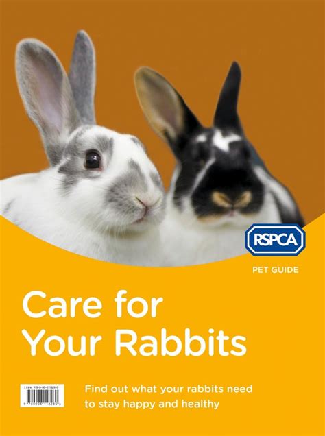 Care for your rabbit rspca pet guide. - Betänkande med förslag till organisation av svenska kyrkan efter en eventuell skilsmässa från staten..