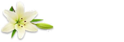 Care funeral services obituaries. .  <a href=https://kodemint.in/assets/images/ofmslc/i...