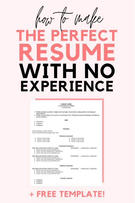 Career With No Experience