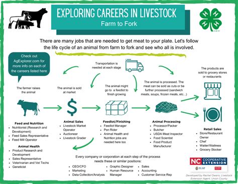 Careers in Cattle Production Work - Chron.com