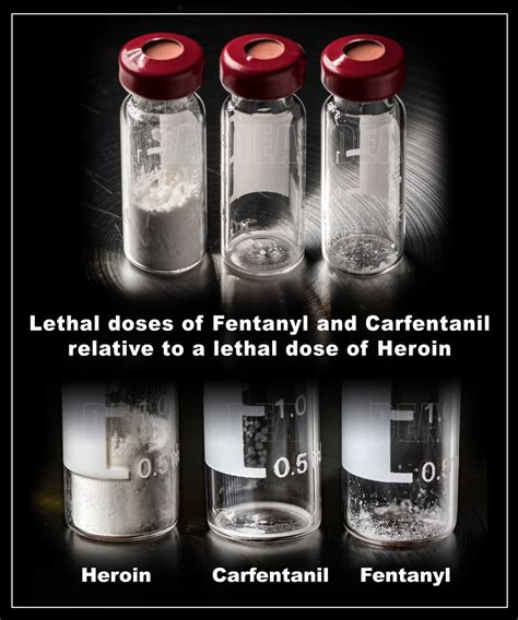 Carfentanil vs Fentanyl: Which is more dangerous?