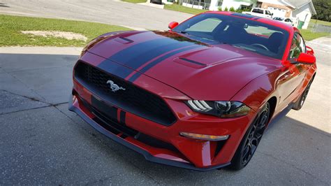 The average Ford Mustang Shelby GT500 costs about $67,028.45. The average price has decreased by -4.9% since last year. The 657 for sale on CarGurus range from $24,500 to $332,500 in price. Is the Ford Mustang Shelby GT500 a good car?.