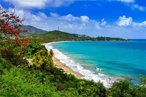 Caribbean beaches in puerto rico. Puerto Rico is a treasure trove of adventures just waiting to be discovered and enjoyed by all. From the beautiful Caribbean beaches to the bioluminescent bays and vibrant local food scene, this island has it all. Are you a beach bum looking for picturesque shores? Well, Puerto Rico boasts a little bit of beach heaven for … 