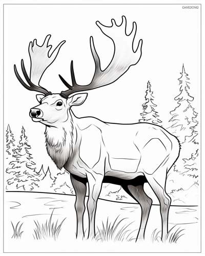 Coloring Pages Famous People
