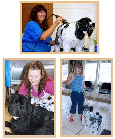 Carlas Dog Grooming - Care.com Chillicothe, OH