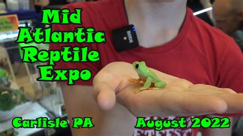 The Pittsburgh Mega Reptile Expo is not only HOT friendly, it will be the most diverse exotic pet show you will find in the north-east part of the country. Whether you are new to herpetoculture or if you are a veteran, we have something here for everyone! Some of the breeds you will find here include non-venomous and venomous reptiles ....