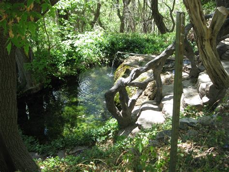 Carlito springs open space. Upcoming lecture: OCTOBER 8, 10 am, free. "The History of Carlito Springs Open Space", presented by Denise Tessier, president of the East Mountains Historical Society, meet at Carlito Springs.... 