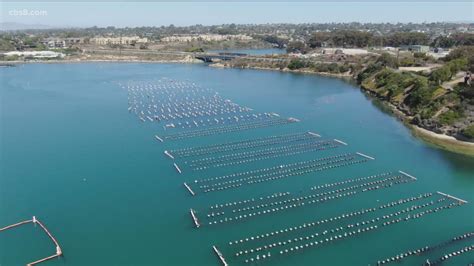 Carlsbad aquafarm. Concealed behind a fence line shielding the ongoing demolition of the plant is the Carlsbad Aquafarm, an eco-friendly, agricultural haven for shellfish … 