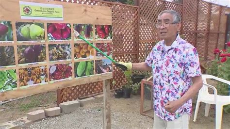 Carlsbad man uses family's Taiwanese farming techniques to grow exotic fruit