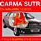 Carma sutra the auto erotic handbook a manual of sex positions for in car entertainment kama sutra. - Ultimate guide to the llb entrance examination.
