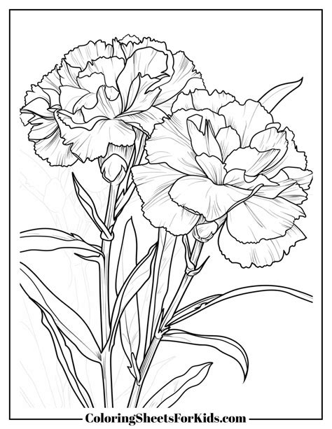 Outer Banks Coloring Pages