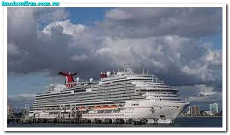 Carnival cruises hurricane hilary. Things To Know About Carnival cruises hurricane hilary. 