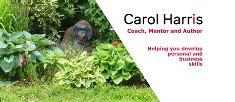 Carol 71 Onlyfans Leak XxX 🔥 249 Photos