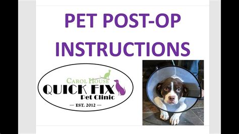 Carol house quick fix pet clinic. The Carol House Quick Fix Pet Clinic began in August 2010 as a 501(c)3 non-profit for the purpose of establishing programs and policies that will. Chewy Get help from our experts 24/7 1-800-672-4399 Chat Live Contact Us Track Order FAQs Shipping Info Start here Account Orders Manage Autoship My Pets Favorites Profile Prescriptions Sign out Cart. 