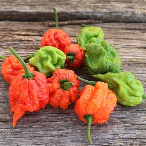 Carolina reaper chilli.  You will need a helper just in case.  Find out how ...
