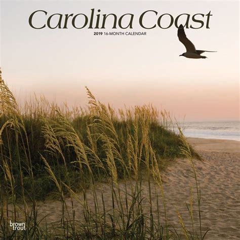 Full Download Carolina Coast 2019 12 X 12 Inch Monthly Square Wall Calendar Usa United States Of America Southeast State Nature Multilingual Edition By Not A Book