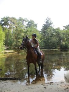 Carolinaelf Leaked +18 157 Videos