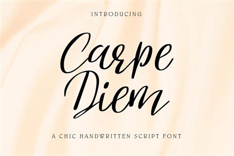 Carpe Diem Font Handwritten Script Font Cricut Fonts Etsy