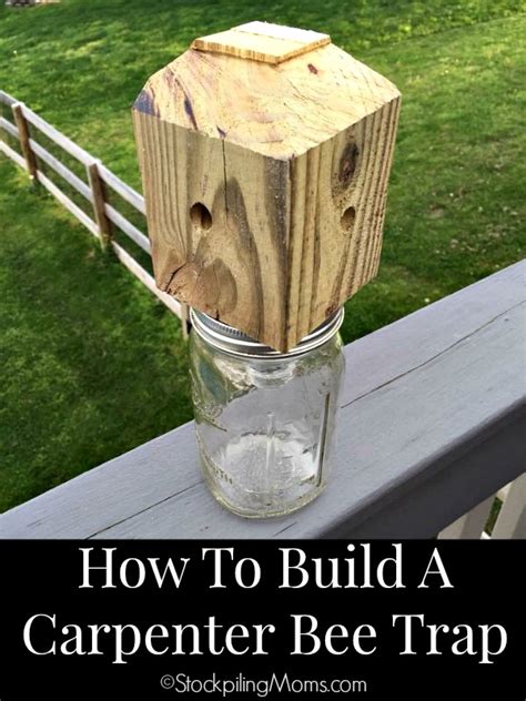 Carpenter bee traps diy. Things To Know About Carpenter bee traps diy. 