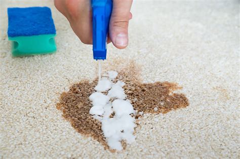 Carpet Cleaning in Lawton, OK A Plus Carpet Cleaning