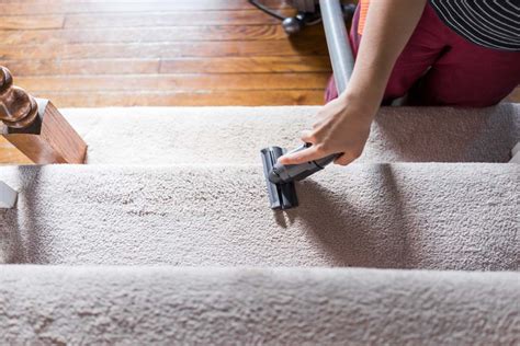 Carpet cleaning colorado springs. Rugs can add warmth, texture, and style to any room in your home. However, keeping them clean can be a challenge, especially if you have kids or pets. That’s where washable rugs co... 