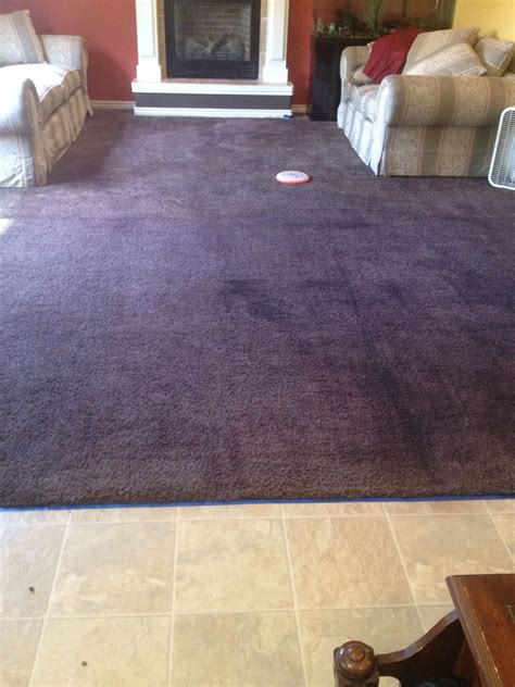 Carpet dyeing near me. Specialties: Carpet Cleaning, Carpet repairs, Patches and Dyeing, 24 Hour Emergency Service, Water Damage, Mold Remediation, Pet treatment, Deodorizing, Tile, Wood Floors, Furniture Upholstery Established in 2017. Over 30 years of experience in the carpet cleaning, restoration and remediation business. Certified by the IICRC in Water Damage … 