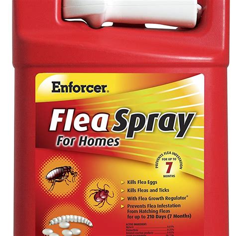 Carpet flea treatment. Water (2 liters) Lemon juice (500ml) Witch hazel (250 ml) Combine all your ingredients in your large spray bottle. Before you use it, make sure you vacuum all the areas of your home impacted by the flea infestation. After emptying the bag, make sure to take all the contents outside to the outdoor trashcan. 