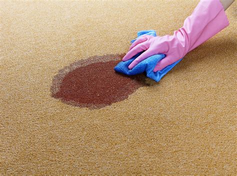 Carpet stain removal. Sprinkle baking soda directly on the stain. Spray more cleaning solution on the baking soda. Use a soft-bristled brush to work the baking soda into the fibers of the carpet. Let dry overnight and vacuum away the dried baking soda. Pro tip: If the soiled area is dry, wet it with cold water and let it sit for 15 minutes … 