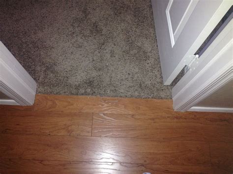 Carpet to hardwood transition. Seamless Carpet to Hardwood Floor Transitions. September 21, 2018 December 21, 2018 by Adam@SheekGeek. I love details and precision in design. When laying the CORETEC flooring in our house, one thing I really wanted to avoid was a threshold between the kitchen tile and the vinyl planks. Thresholds look bad, are typically … 
