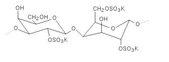 Carrageenan CyberColloids