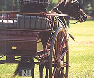 Carriage Driving Appointments - Driving Essentials, Inc.