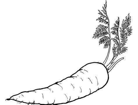 Carrot 10 Coloring Page for Kids Free Vegetables Printable Coloring Pages Online for Kids