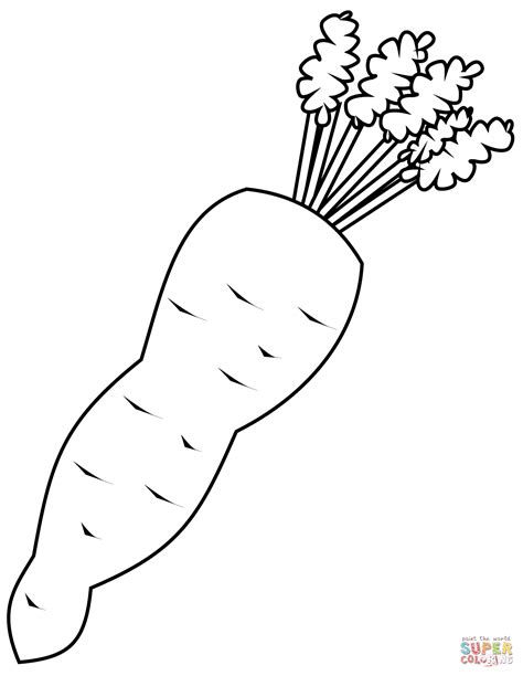 Carrot Coloring Shee