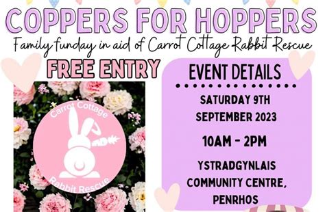 Carrot Cottage Rabbit Rescue Ystradgynlais