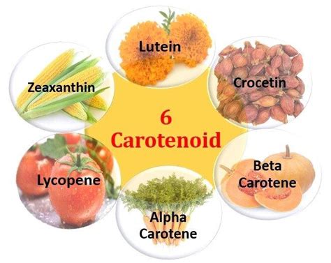 Carrotenoid Leaks PORN 😈 142 Videos
