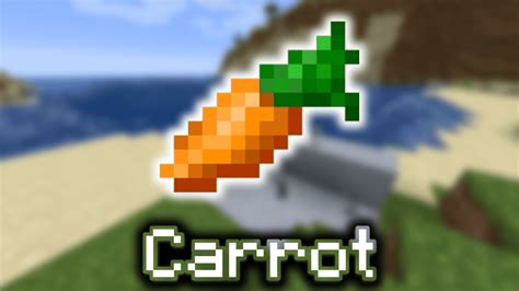 Carrots in Minecraft