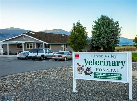 Carson valley vet. Things To Know About Carson valley vet. 