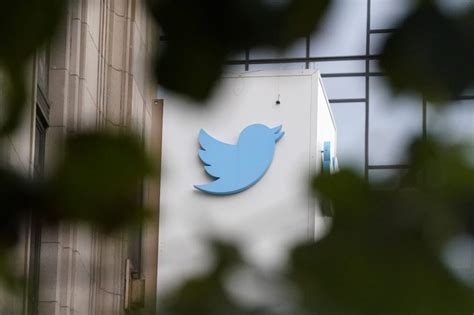 Cartel Twitter use spiked after Musk takeover: report