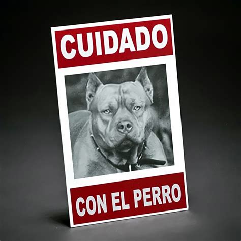 Cartel pitbull. Things To Know About Cartel pitbull. 