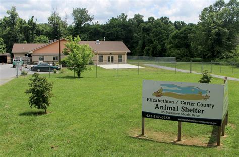 Carter county animal shelter. The Henderson County Animal Services Center is located at 828 Stoney Mountain Road and is adjacent to the county landfill / transfer station. Essential Departmental Functions: Animal Services provides shelter for adoptable and stray animals and reunites lost pets with their owners. The department keeps records of rabies cases and encourages ... 
