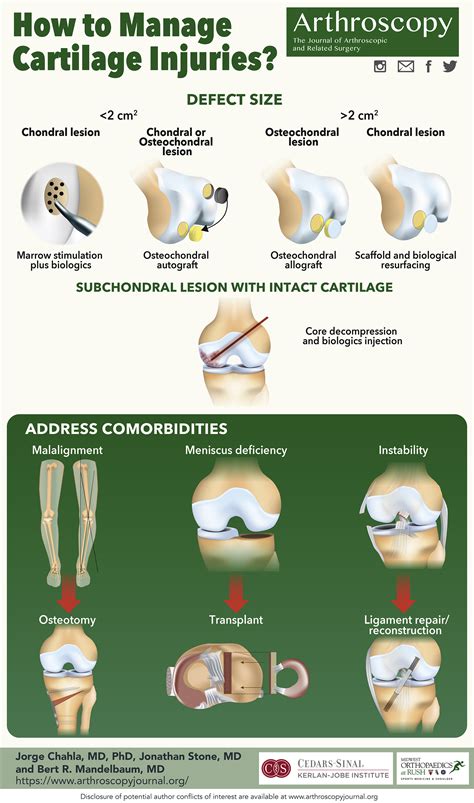 Cartilage Injury in the Knee: Assessment and Treatment Options