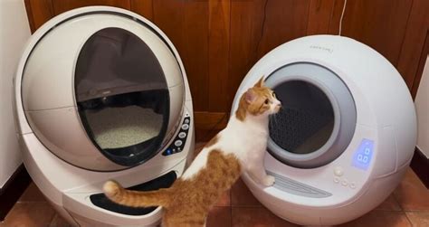 Casa leo vs litter robot. Things To Know About Casa leo vs litter robot. 