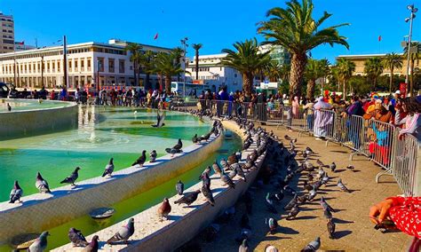 per adult (price varies by group size) Casablanca to Rabat Full-Day Trip. 9. Bus Tours. from. $84.66. per adult (price varies by group size) Private day trip to Rabat from Casablanca. 14.. 