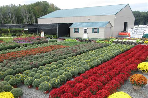 Cascade Meadows Nursery Wholesale Nursery Supplies