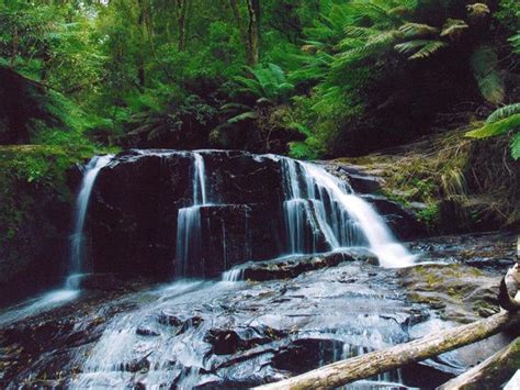 Cascade of Victorian properties with their own waterfall for sale