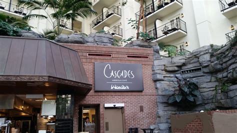  Cascades American Cafe. Like a lot of the Gaylord Opryland hotel restaurants, Cascades American Cafe offers great views. You’ll be seated right in the atrium, at a cozy wooden table overlooking ridged stone enclaves, peeks of foliage, and skipping waters. Breakfast is a buffet featuring all the standard morning offerings: scrambled eggs ... 